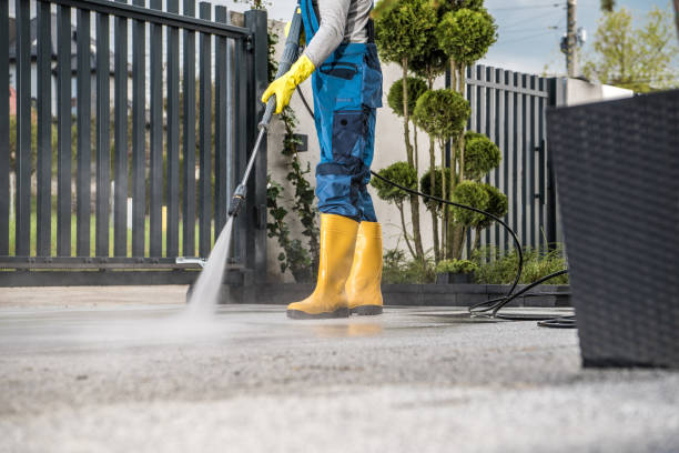 Best Graffiti Removal  in Beverly Hills, TX